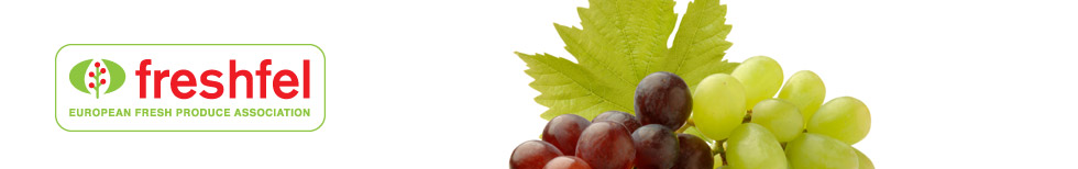 Freshfel - The forum for the fresh produce industry Freshfel - The forum for the fresh produce industry