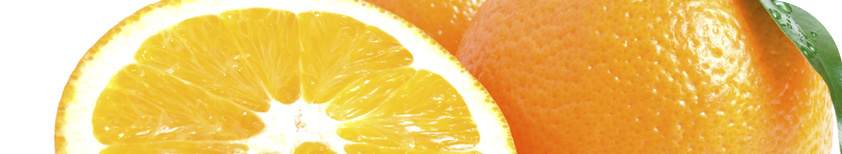 Freshfel - The forum for the fresh produce industry
