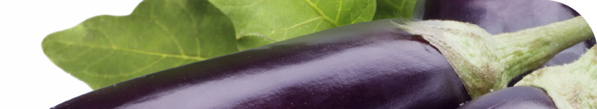 Freshfel - The forum for the fresh produce industry