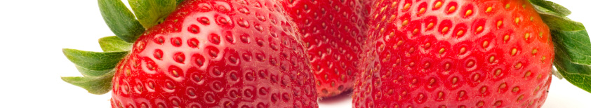 Freshfel - The forum for the fresh produce industry