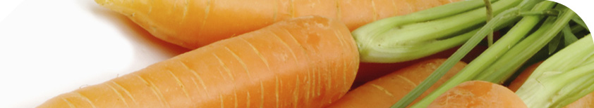 Freshfel - The forum for the fresh produce industry