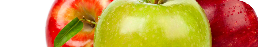 Freshfel - The forum for the fresh produce industry