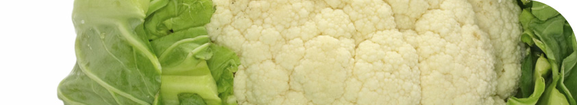 Freshfel - The forum for the fresh produce industry