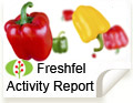 Freshfel Activity Report