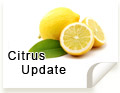 Freshfel Citrus Working Group